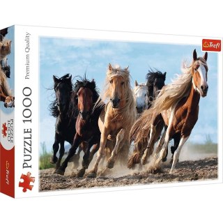 Puzzle 1000 Galopujące konie TREFL