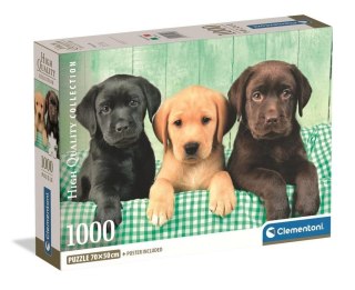 Puzzle 1000 Three Labs