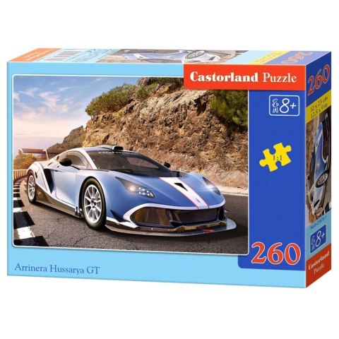 Puzzle 260-elementów Arrinera Hussarya GT B-27675-1