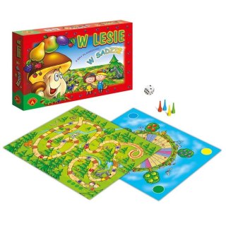 Alexander Gra planszowa 2w1 W lesie & W sadzie - zbieraj do koszyczka GR0792