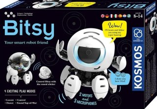 Bitsy