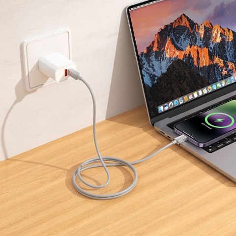 Kabel USB C do Lightning Hoco PD 27W 1 m X107 szary