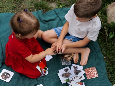 Kapitan Nauka Gra edukacyjna MONTESSORI Karty sensoryczne. Zwierzęta 2+ KS1019