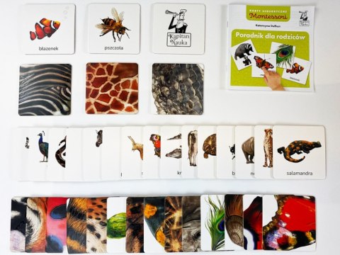 Kapitan Nauka Gra edukacyjna MONTESSORI Karty sensoryczne. Zwierzęta 2+ KS1019