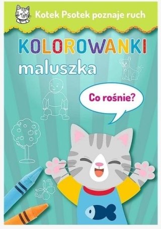 Kotek Psotek poznaje ruch. Co rośnie? TREFL
