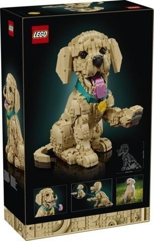 LEGO(R) ICONS 11384 (2szt) golden retriever