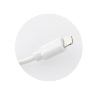 Ładowarka sieciowa do telefonu Blue Star USB A 1A 5W + kabel USB A do Lightning TFK-TC-1100B biała