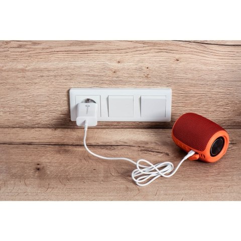 Ładowarka sieciowa do telefonu Forcell F-Energy USB C QC4.0 PD 3A 20W + kabel USB C do Lightning TFK-TC-20WPD biała