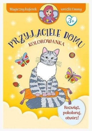 Magiczny kuferek wróżki Emmy Przyjaciele TREFL
