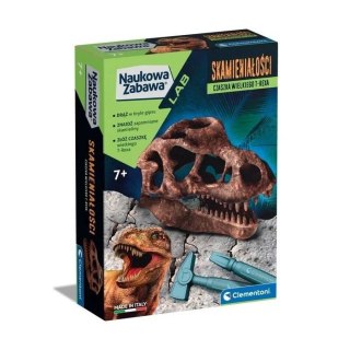 Naukowa zabawa. Skamieniałości. czaszka T-Rexa